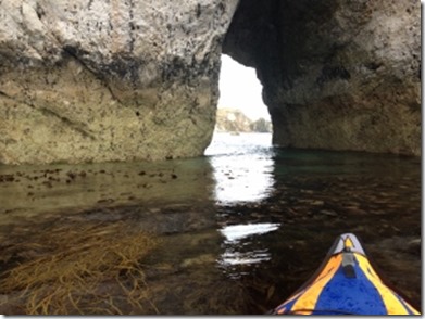 2014-08-24 Kayaking at Lulworth (39) (300x225)