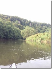 Wye Valley 017 (300x400)