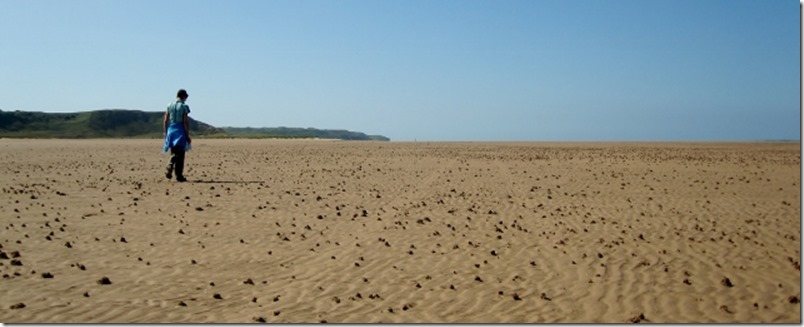 2014-09-02 Gower- Llanmadoc to Scurlage (13) (640x258)