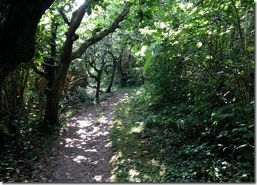 2014-09-03 Gower- Port Enyon to Caswell (16) (640x459)