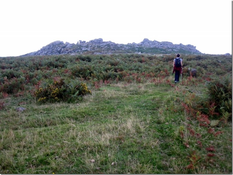 2014-09-07 Short walk at Dartmoor (1) (640x479)