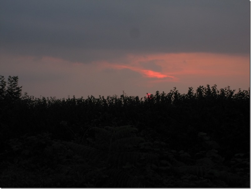 2014-09-07 Short walk at Dartmoor (17) (640x480)