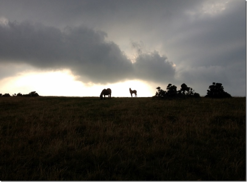 2014-09-08 Dartmoor Yes Tor (27) (640x471)