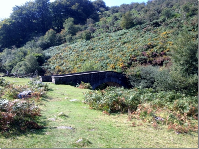 2014-09-08 Dartmoor Yes Tor (8) (640x479)