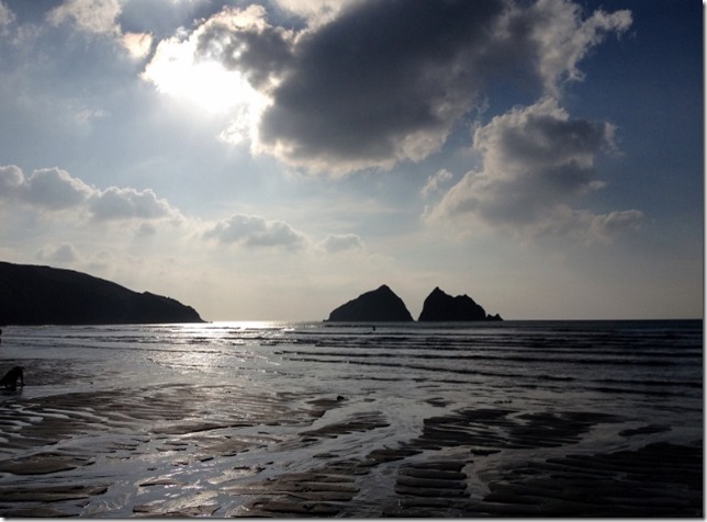 2014-09-12 Holywelll beach walk & blackberry picking (9) (640x471)