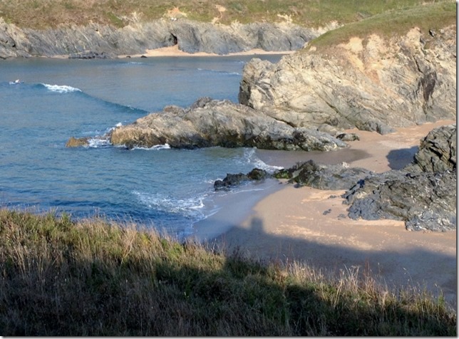 2014-09-12 Holywelll beach walk & blackberry picking (18) (640x473)