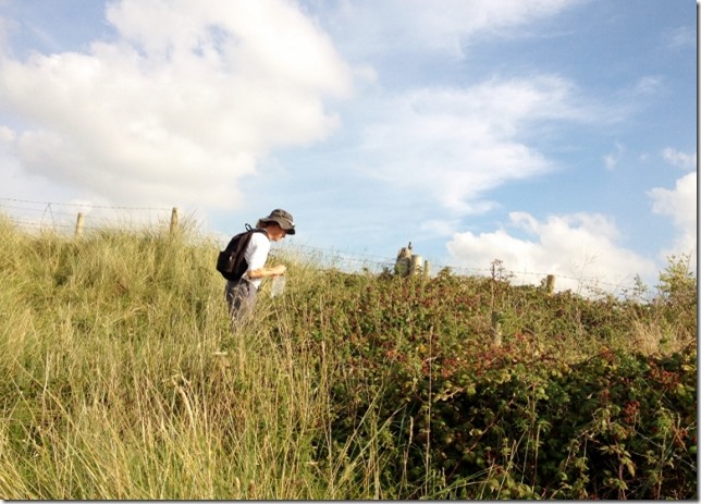 2014-09-12 Holywelll beach walk & blackberry picking (1) (640x458)