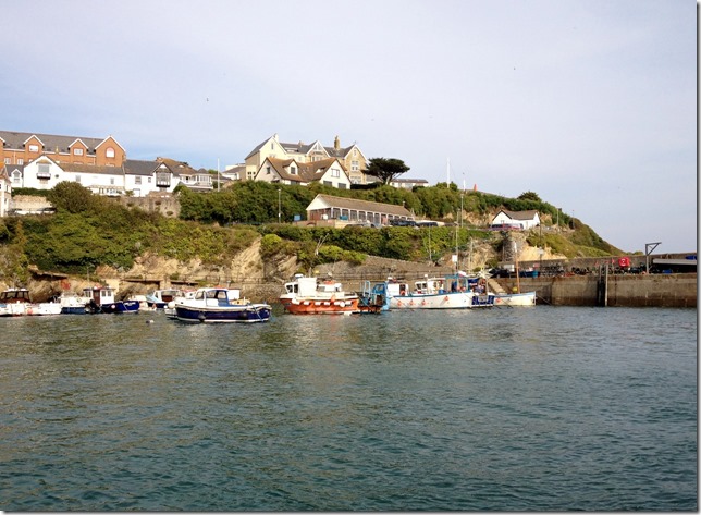 2014-09-13 Fishing & Fish Festival at Newquay (4)