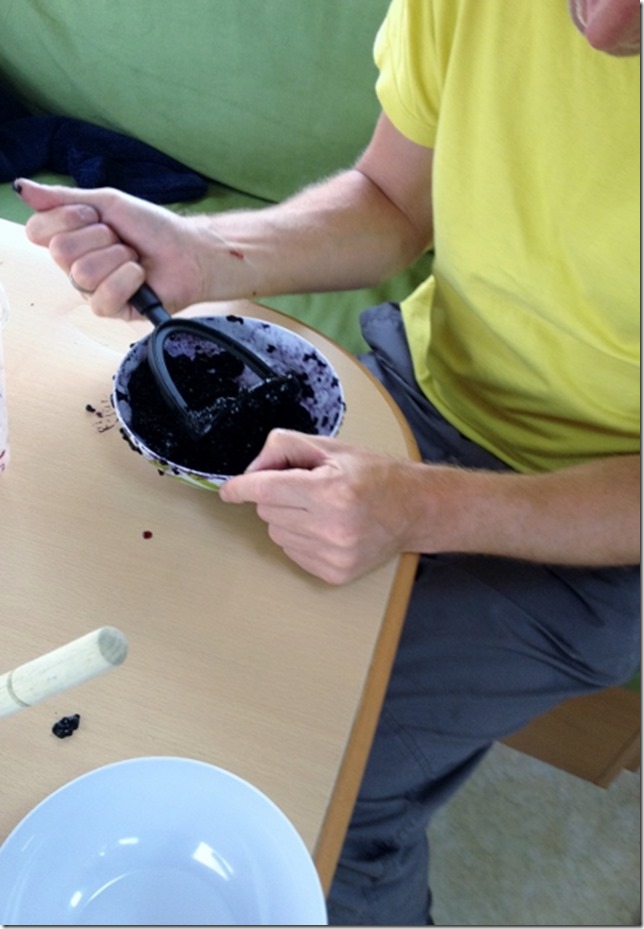 2014-09-14 Making blackberry ice cream (6) (442x640)