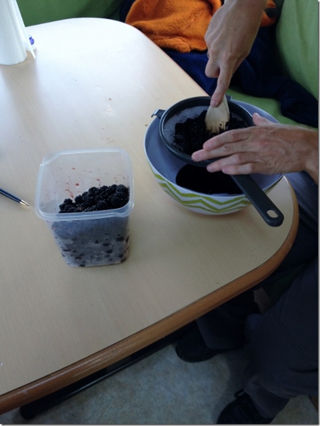 2014-09-14 Making blackberry ice cream (1) (479x640)
