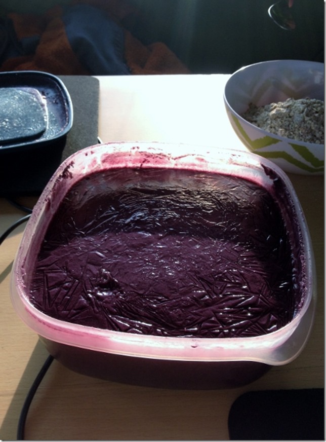 2014-09-14 Making blackberry ice cream (8) (473x640)