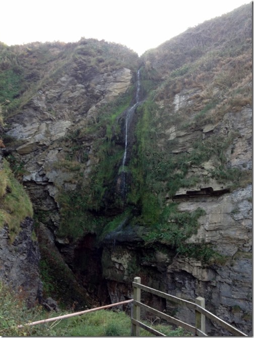 2014-09-15 Bossiney Mussels Harvest (2) (479x640)