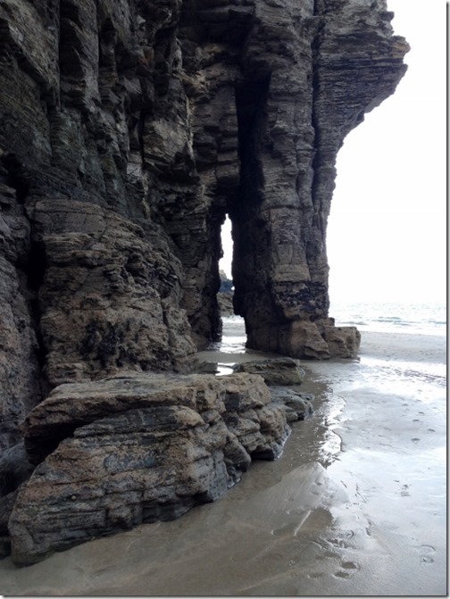 2014-09-15 Bossiney Mussels Harvest (5) (480x640)