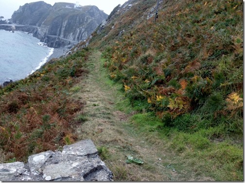 2014-09-20 Lundy Island - First Day (18) (640x478)