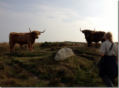 2014-09-20 Lundy Island - First Day (44) (640x473)