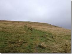 Breacon Beacons 009 (500x375)