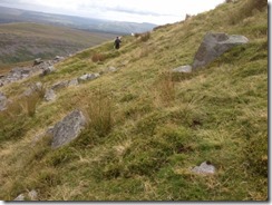 Breacon Beacons 028 (500x375)