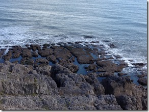 Gower Peninsula - Caswell Bay to Mumbles 016 (1000x750)