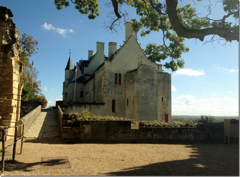 2014-10-13 Loire Valley - Chateau du Chinon & Champigny Sur Verdeu (11) (640x471)