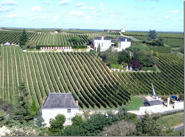 2014-10-13 Loire Valley - Chateau du Chinon & Champigny Sur Verdeu (18) (640x473)