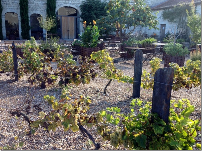 2014-10-14 Chateau du Rivau & Richelieu (13) (640x480)