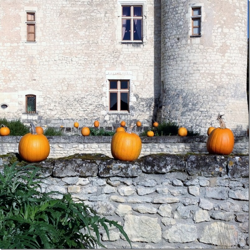 2014-10-14 Chateau du Rivau & Richelieu (15) (640x640)