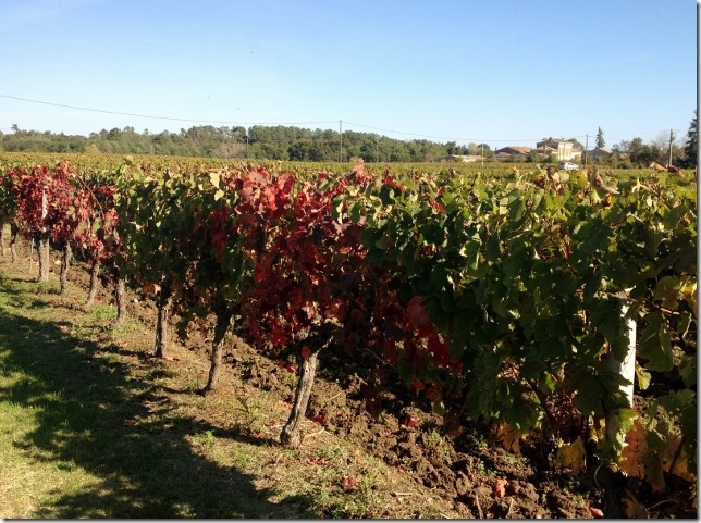 2014-10-17 Bordeaux (1) (640x477)