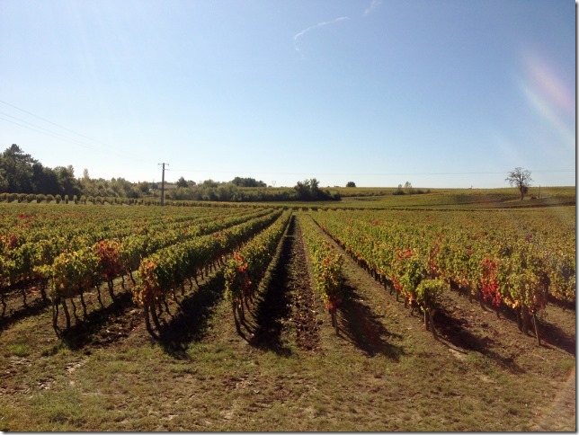 2014-10-17 Bordeaux (6) (640x480)
