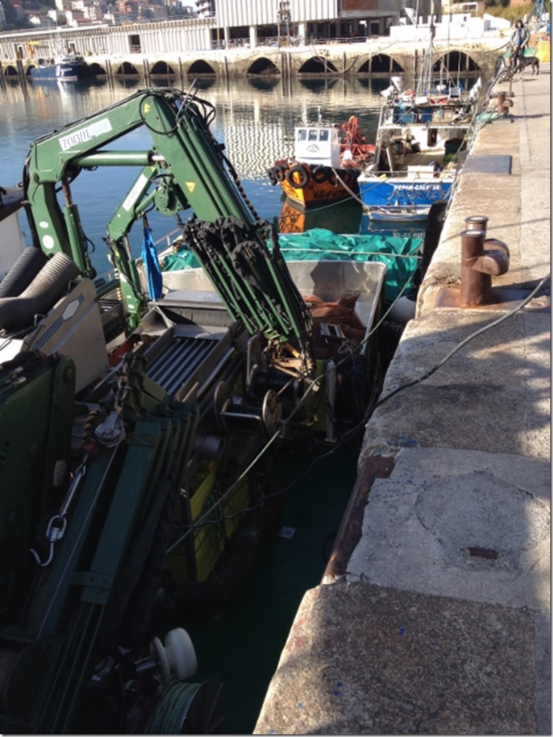 2014-10-23 Long walk - Pasai Atxo to Hondarribia (8) (480x640)