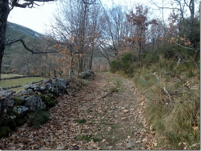 150111 Spain-Gredos-El Pelao from Navalguijo (6) (640x480)