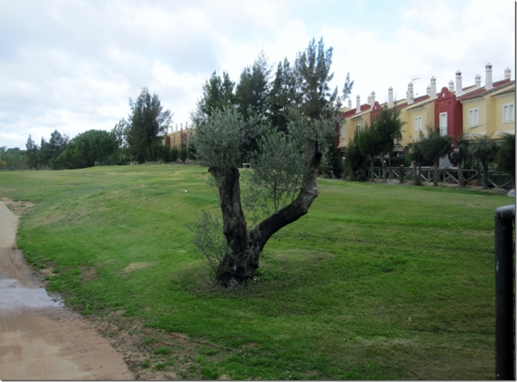 150130 Spain-Islantilla (10) (640x473)