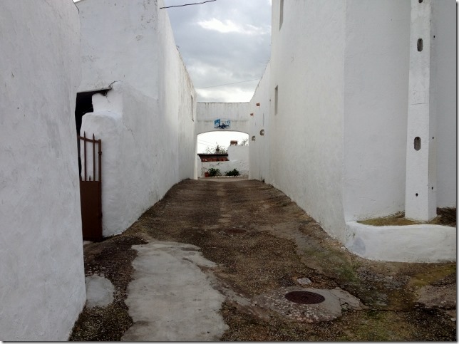 Walk around north of Silves 009 (640x479)