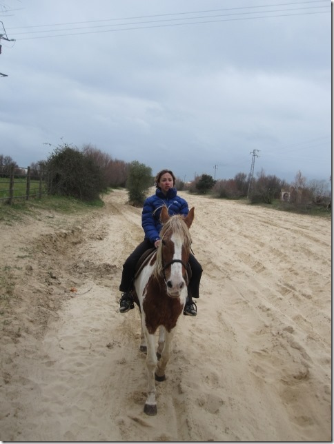 150202 Spain-El Rocio horses (10) (480x640)