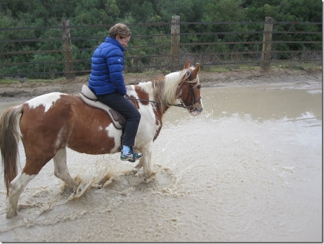 150202 Spain-El Rocio horses (12) (640x480)