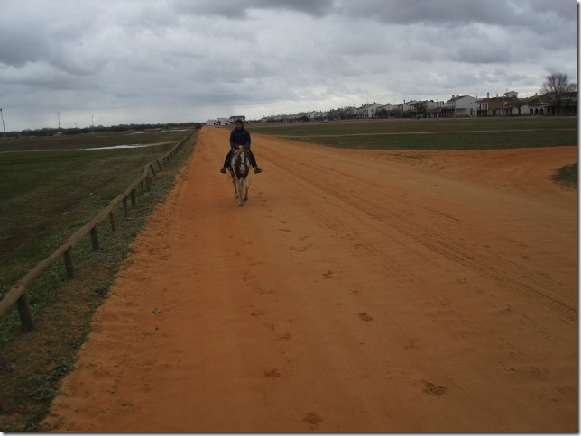 150202 Spain-El Rocio horses (13) (640x480)