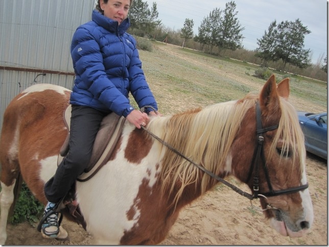 150202 Spain-El Rocio horses (8) (640x480)