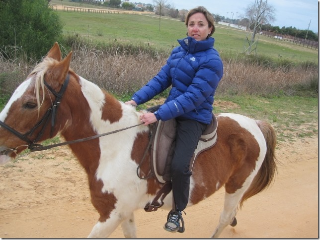 150202 Spain-El Rocio horses (9) (640x480)