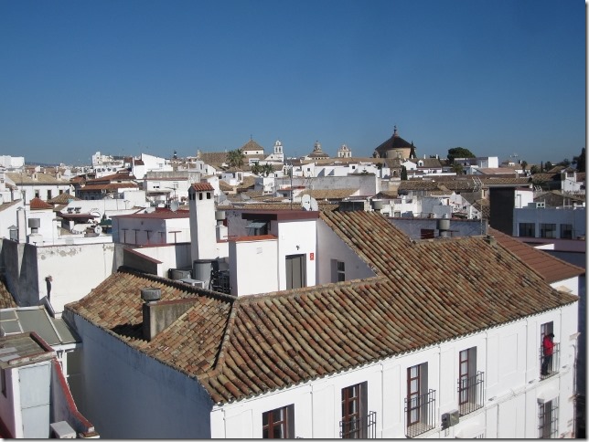 150206 Spain-Cordoba (41) (640x480)