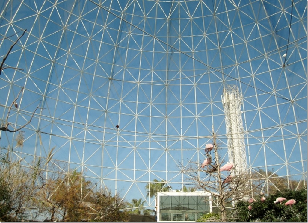 150220 Spain-Valencia Aquarium (14) (640x463)