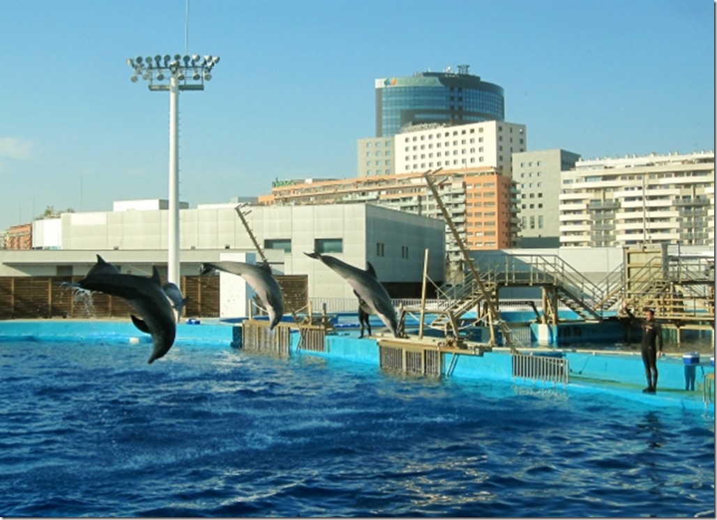 150220 Spain-Valencia Aquarium (19) (640x464)