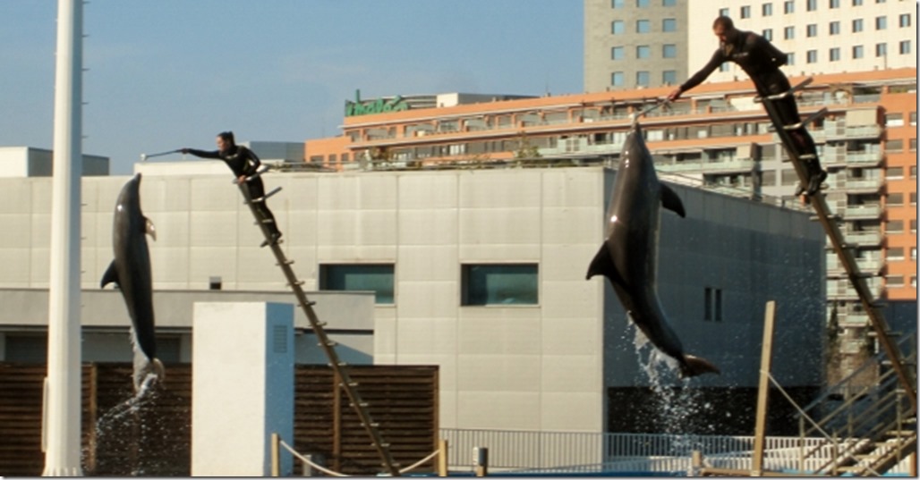 150220 Spain-Valencia Aquarium (22) (640x334)