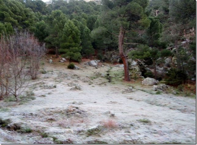 150213 Spain-Nogal el Barranco (1) (640x472)