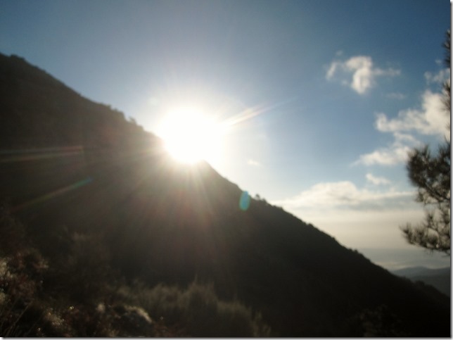 150213 Spain-Nogal el Barranco (10) (640x479)