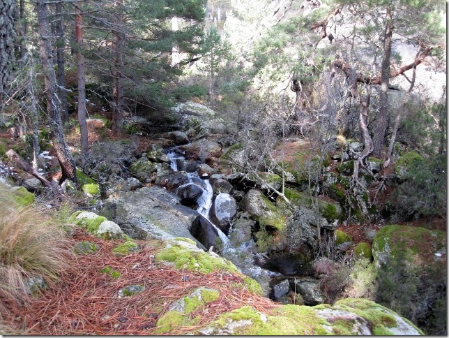 150213 Spain-Nogal el Barranco (31) (640x480)