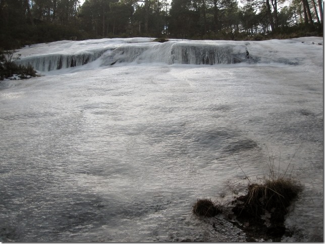 150213 Spain-Nogal el Barranco (32) (640x480)