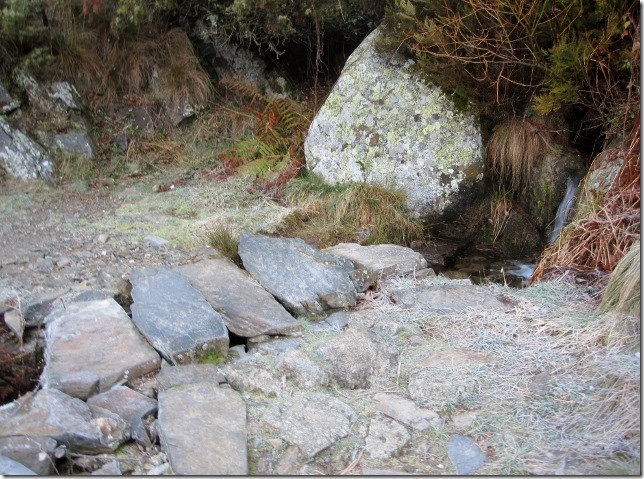 150213 Spain-Nogal el Barranco (6) (640x475)