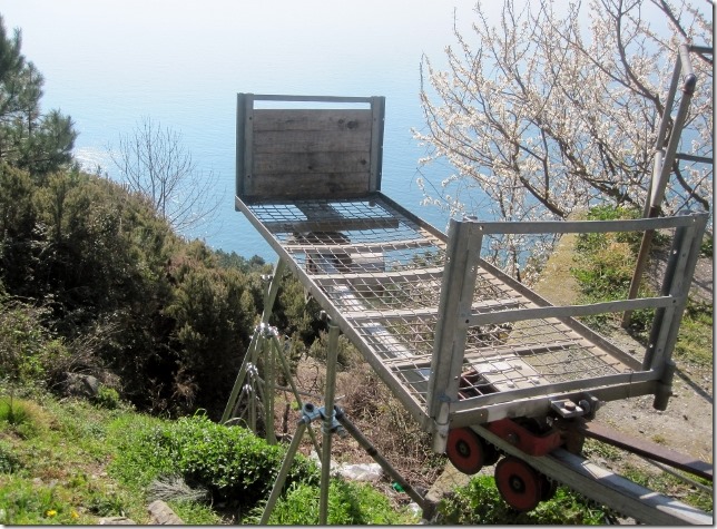 150313 Italy-Cinque Terre (13) (640x471)