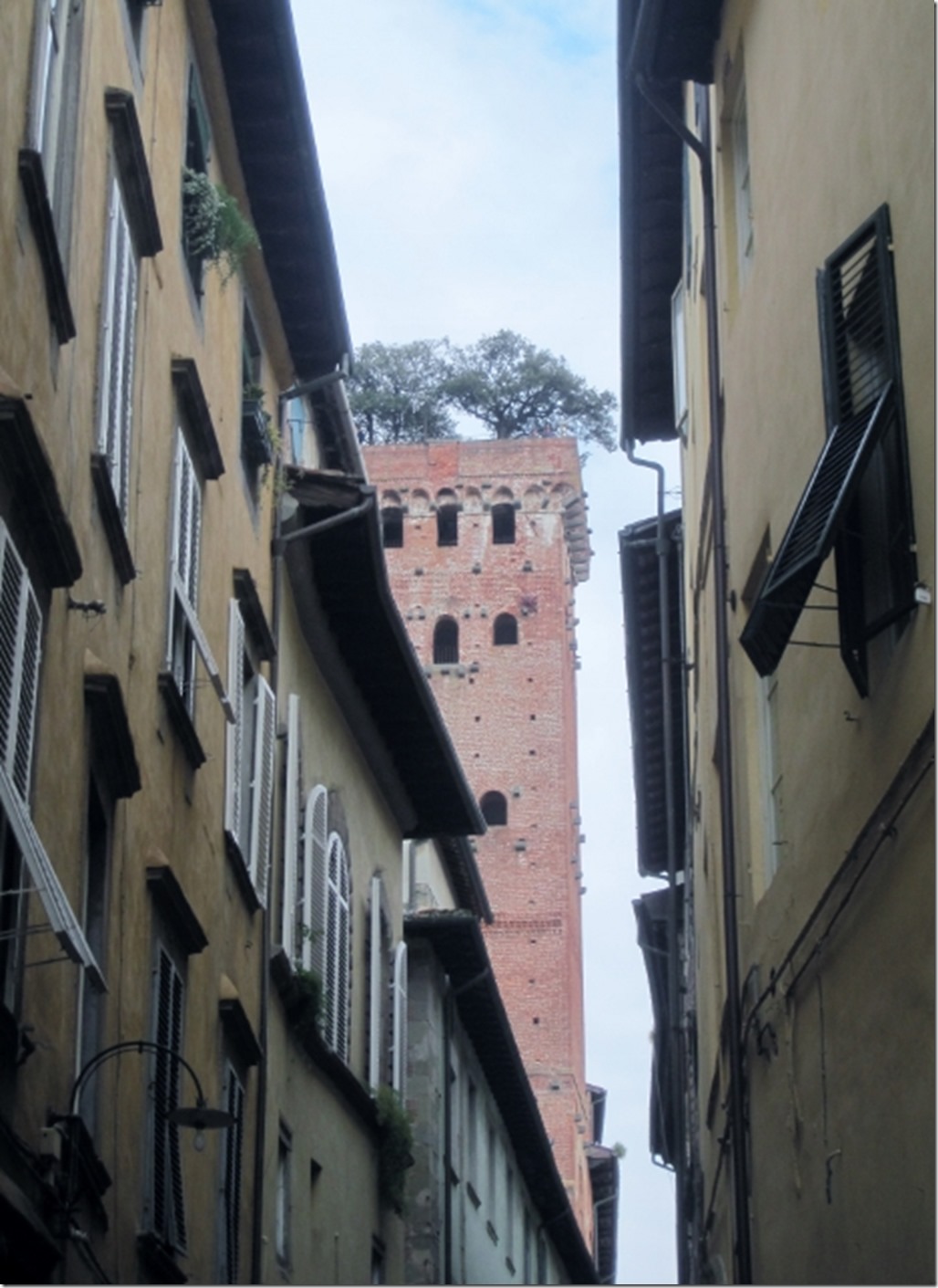 150314 Italy-Lucca (35) (466x640)