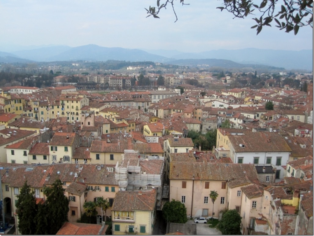 150314 Italy-Lucca (36) (640x480)