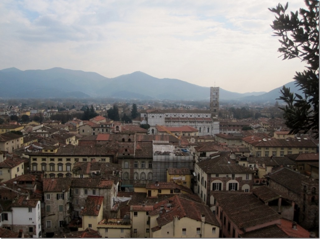 150314 Italy-Lucca (40) (640x478)